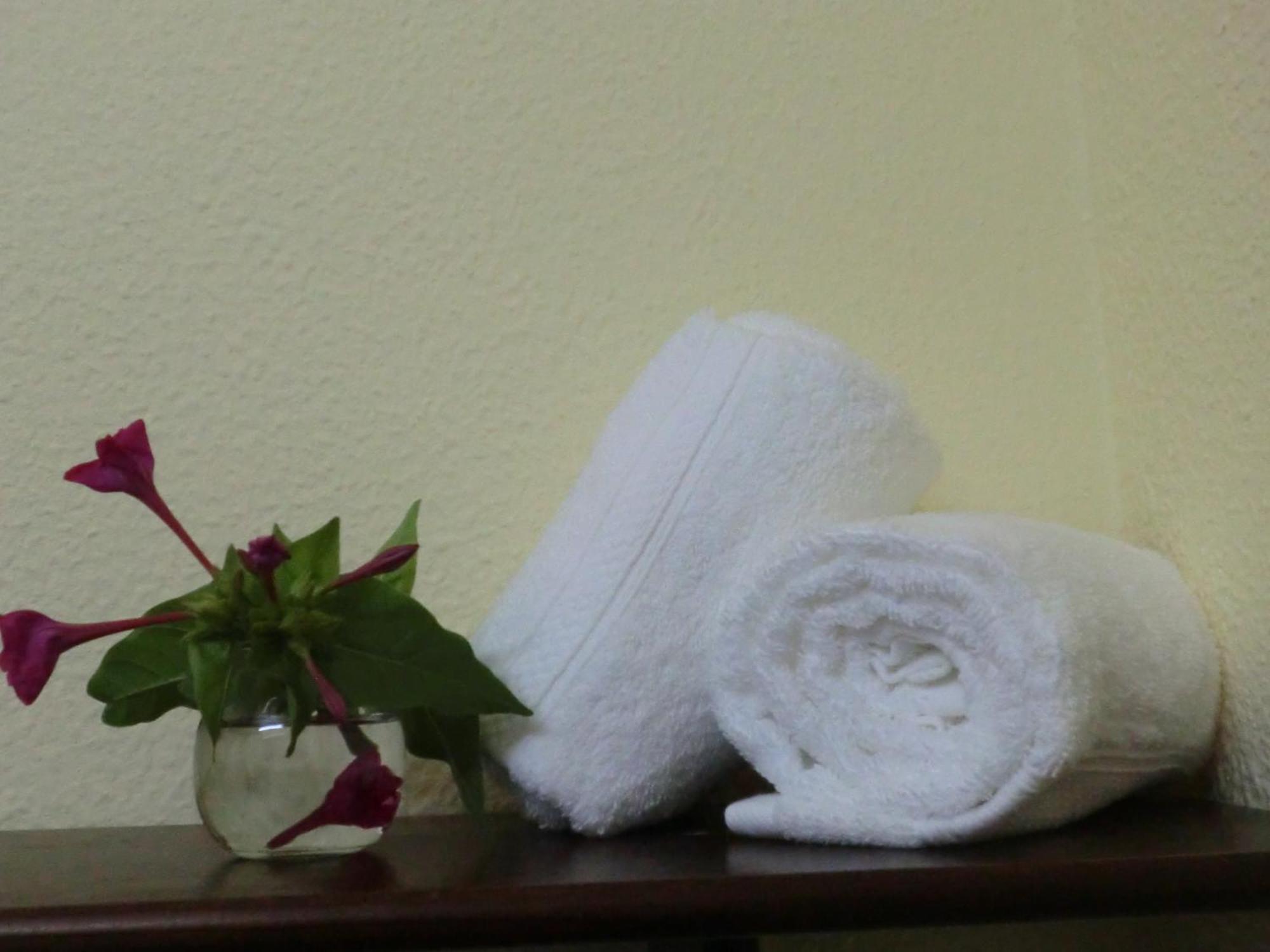 Alter do Chão Varandas De Alter Hotel & Spa מראה חיצוני תמונה