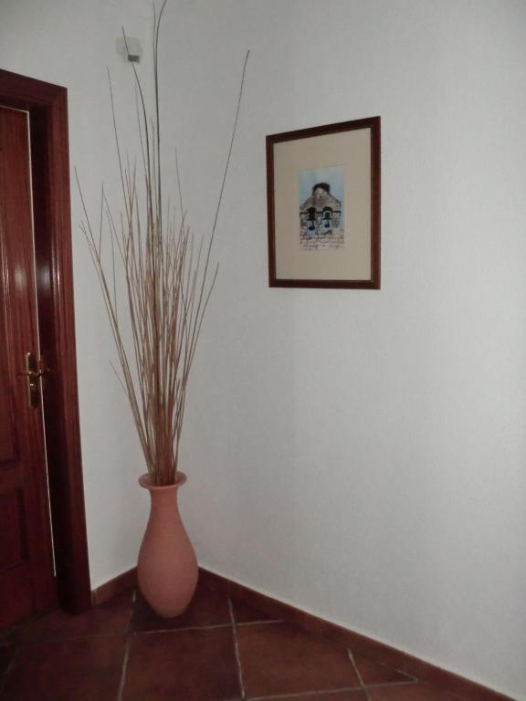 Alter do Chão Varandas De Alter Hotel & Spa מראה חיצוני תמונה