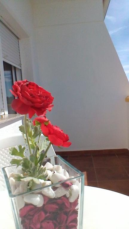 Alter do Chão Varandas De Alter Hotel & Spa מראה חיצוני תמונה