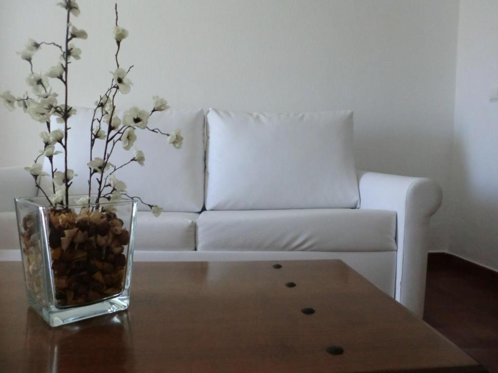 Alter do Chão Varandas De Alter Hotel & Spa חדר תמונה